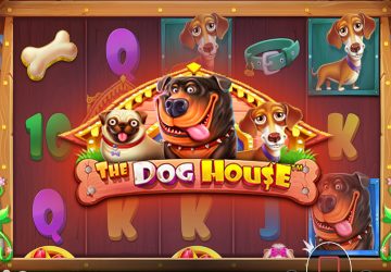 NetEnt - — лучший слот